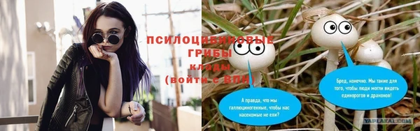 apvp Бронницы
