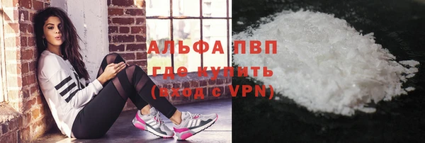 гидра Богданович
