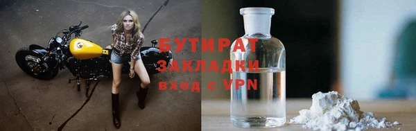 гидра Богданович