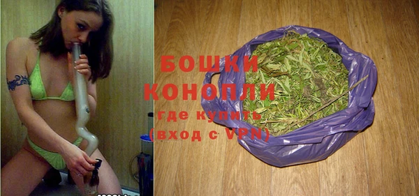 гидра Богданович