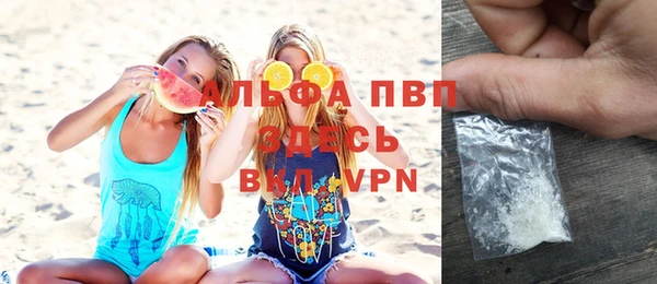 гидра Богданович