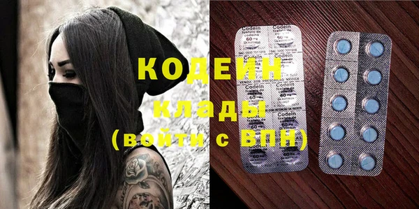 гидра Богданович