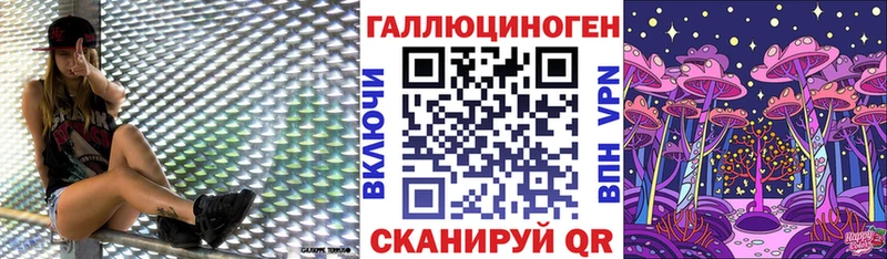 Купить закладки  Кашин  Галлюциногенные грибы Cubensis 